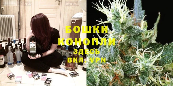 spice Алзамай